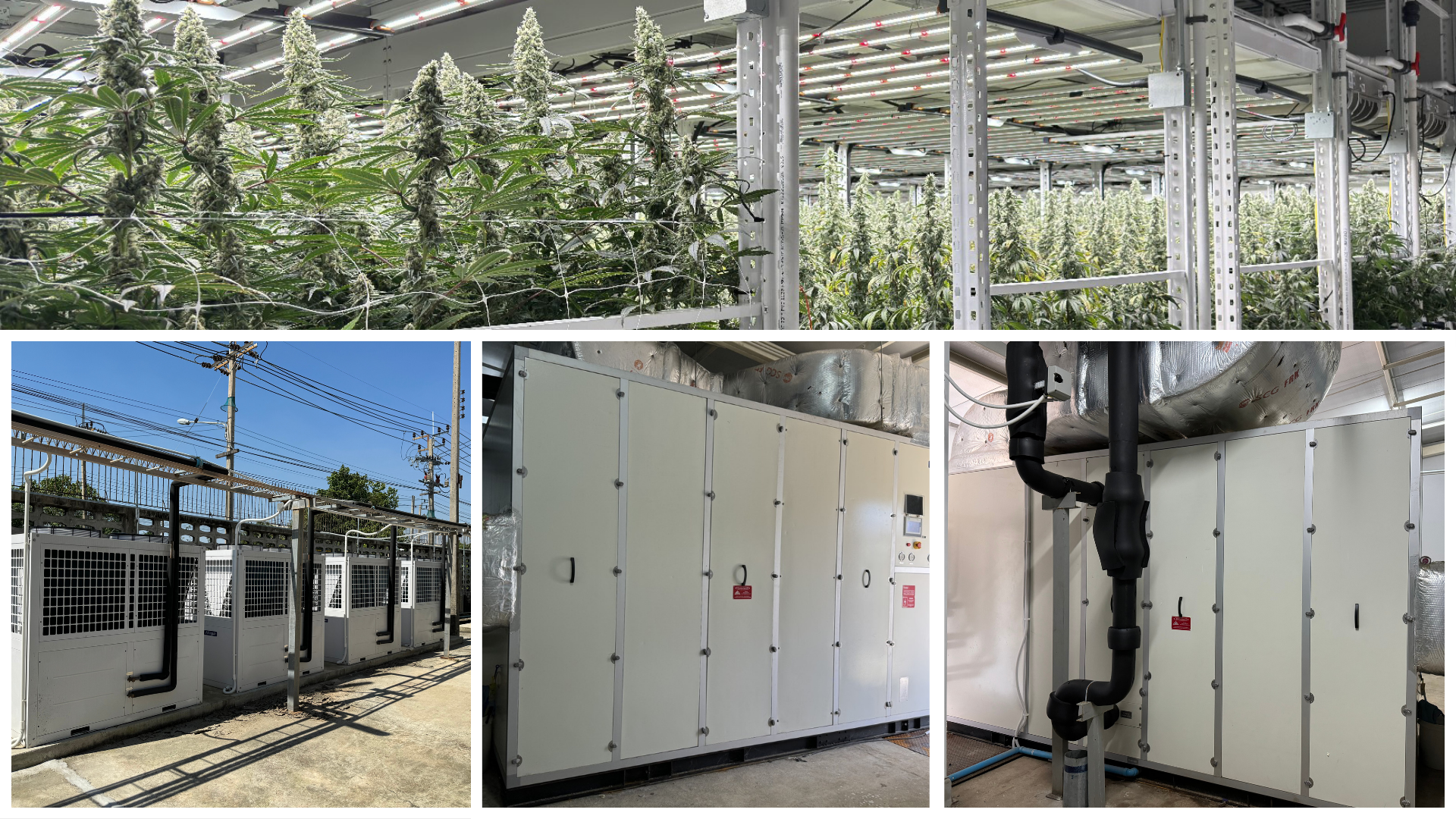 Altaqua-commercial-growing-hvac-projects-3