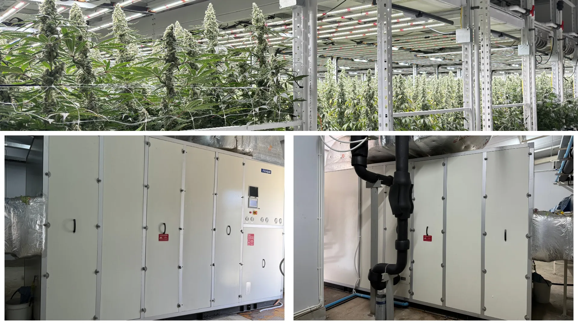 Altaqua-commercial-growing-hvac-projects-4