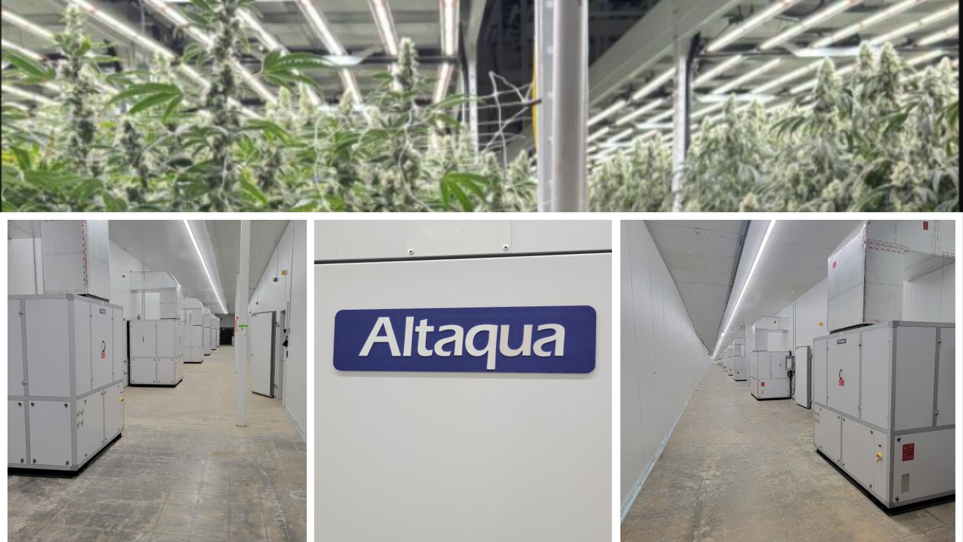 Altaqua-commercial-growing-hvac-projects-6