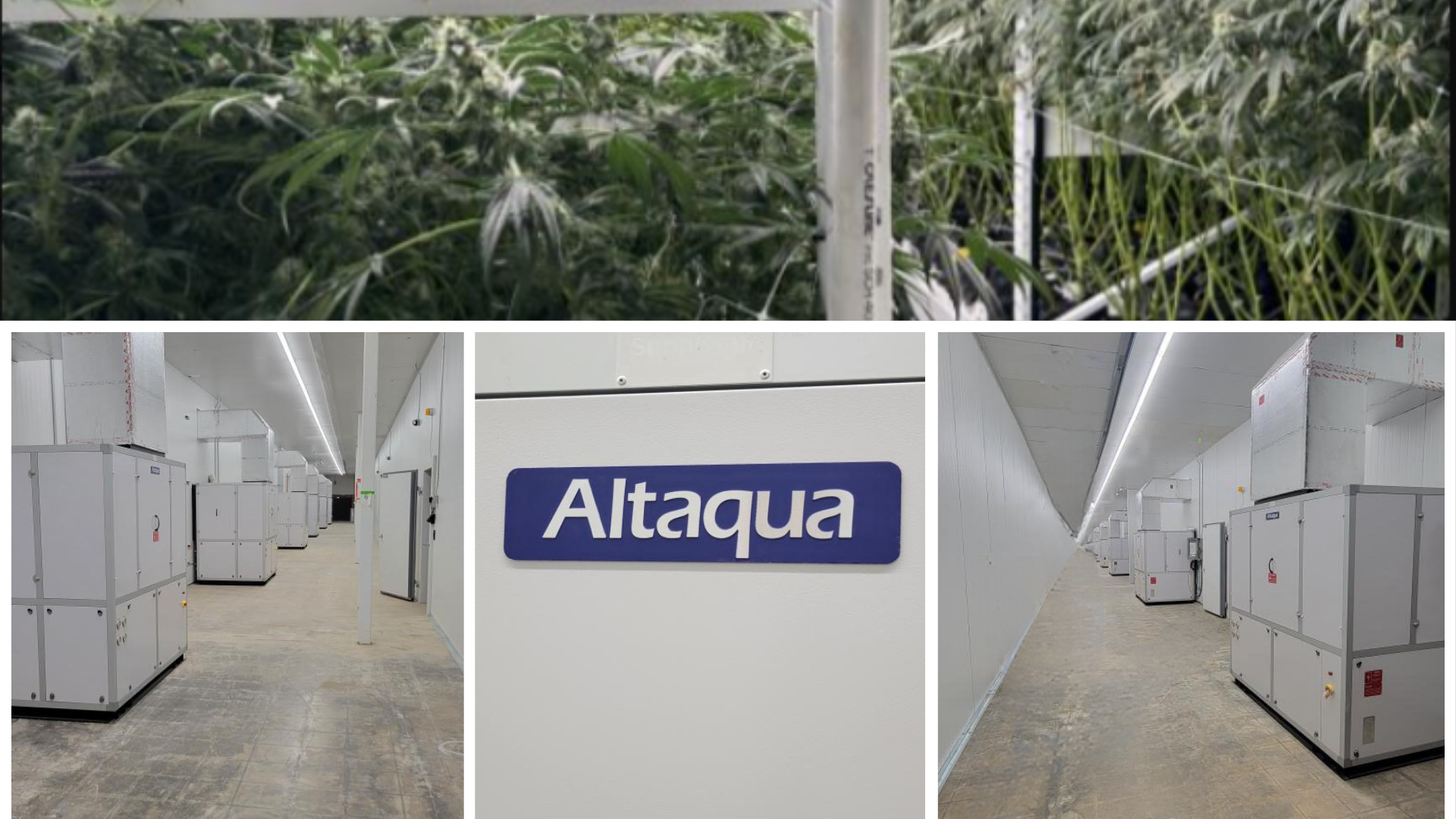 Altaqua-commercial-growing-hvac-projects-6