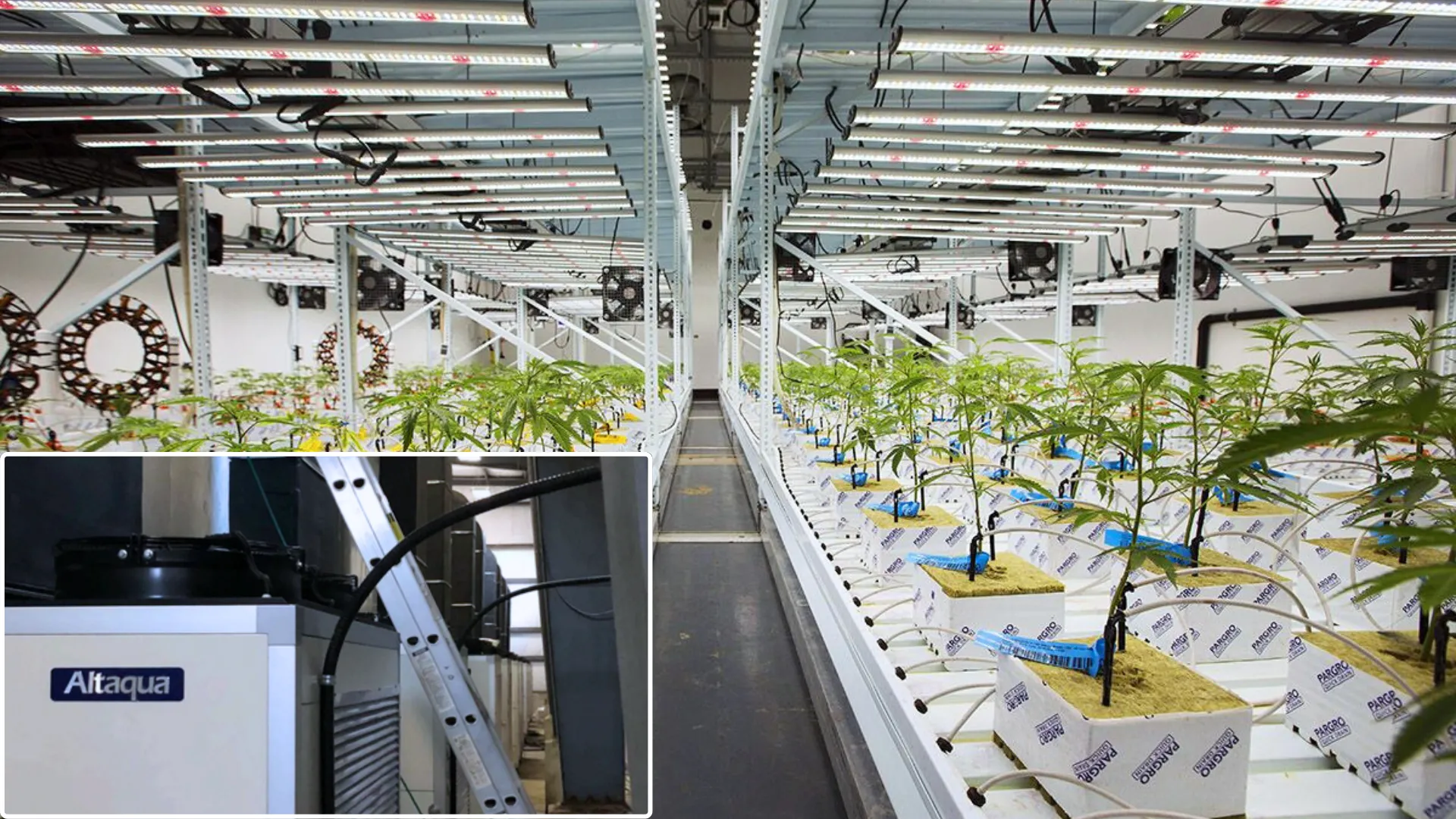 Altaqua-kommerzielle-wachsende-HVAC-Projekte-Kanada