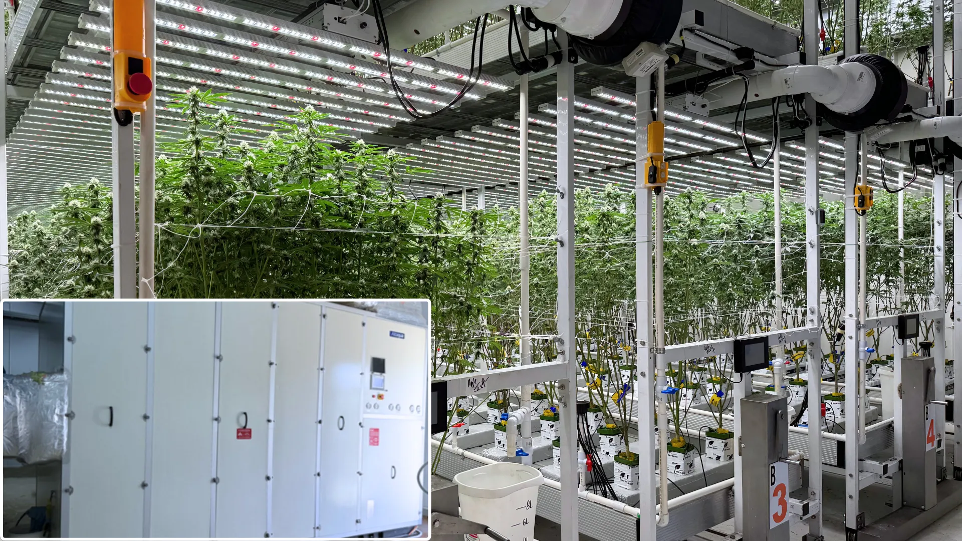 Altaqua - Projets de CVC commerciaux en croissance - Thaïlande