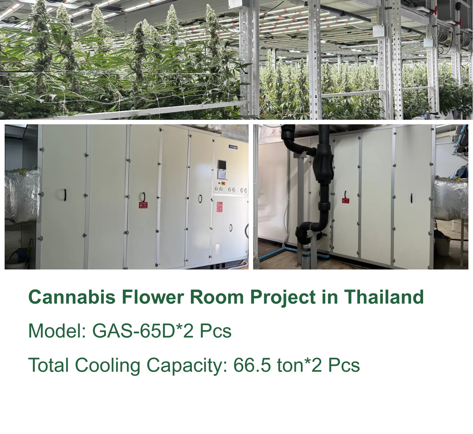 Altaqua – kommerzielles Wachstum von HVAC-Projekten in Thailand
