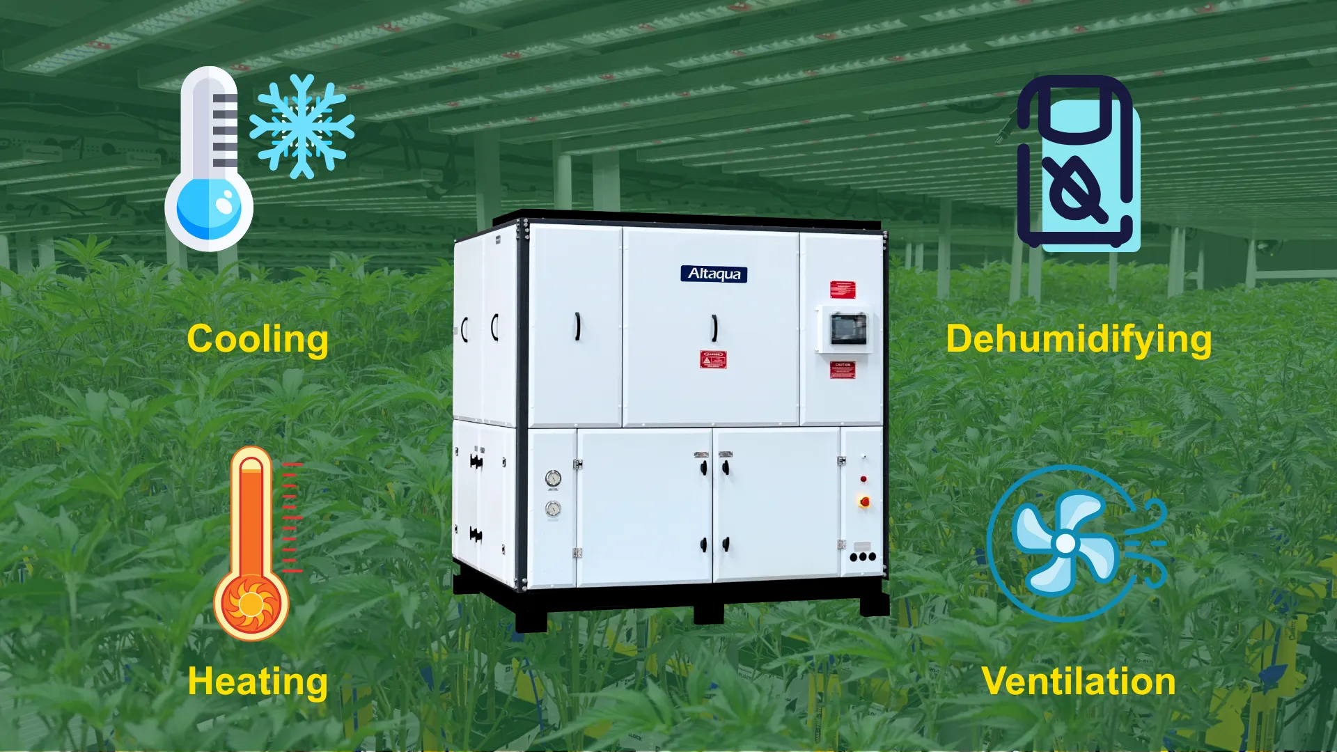 Altaqua - Solution CVC tout-en-un pour salle de culture écoénergétique