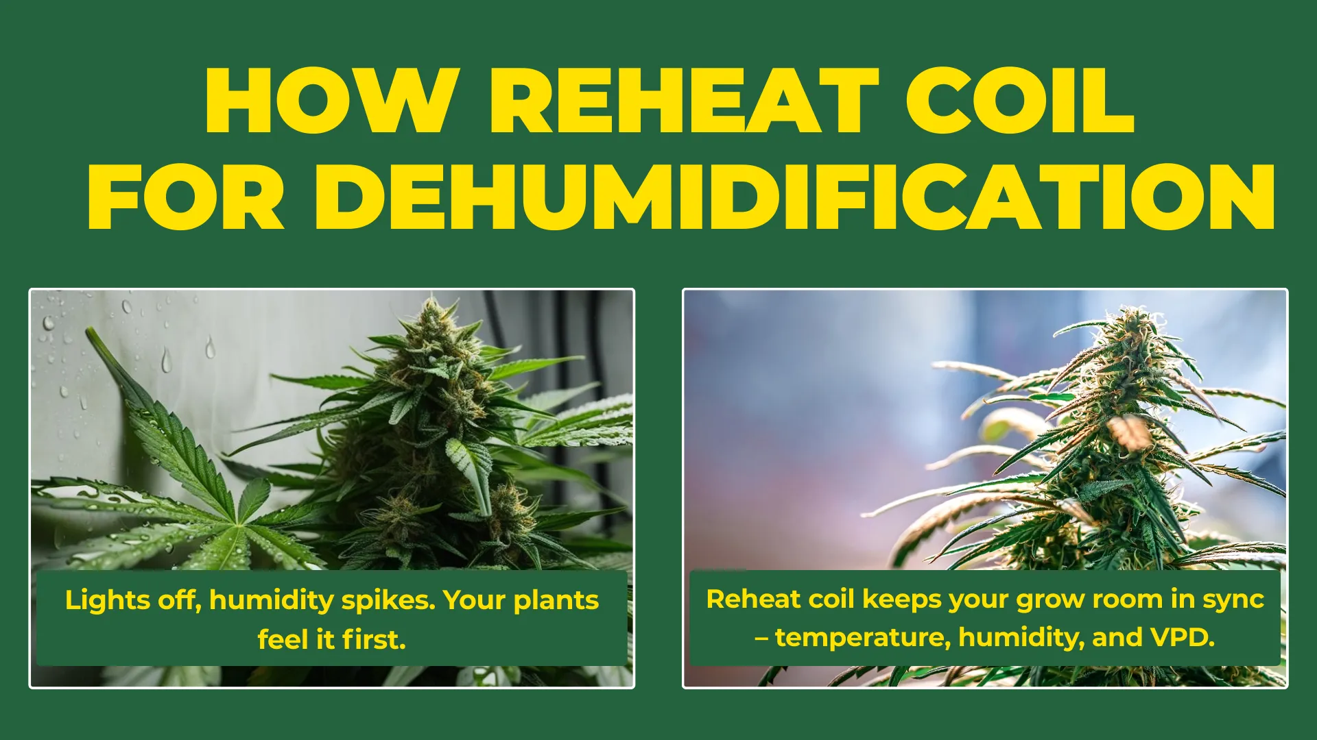 Altaqua-grow-room-hvac-blog-reheat-coil