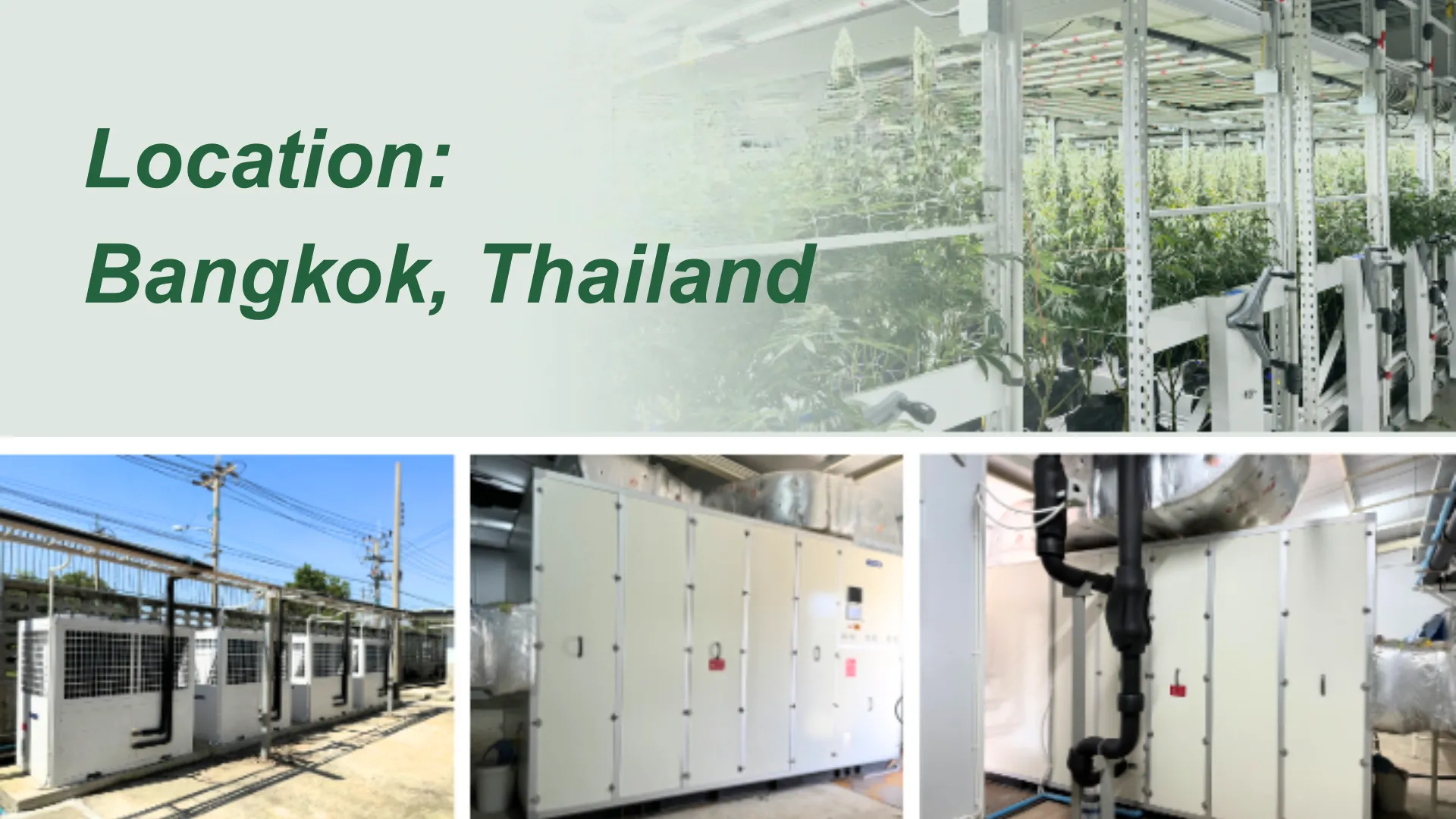 Altaqua-Grow-Room-HVAC-Projekt-Bangkok-Thailand