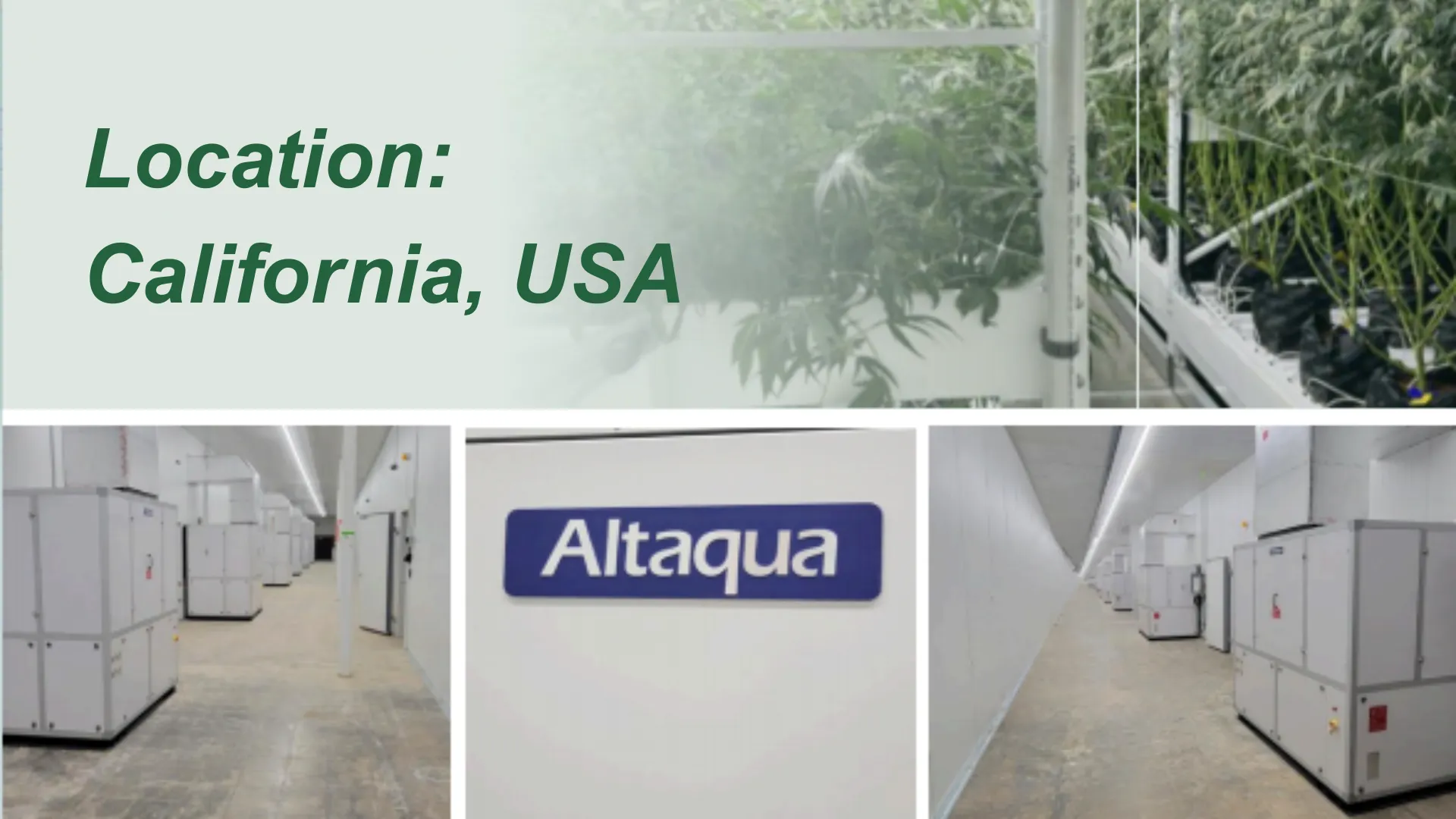 Altaqua-Grow-Room-HVAC-Projekt-Kalifornien-USA