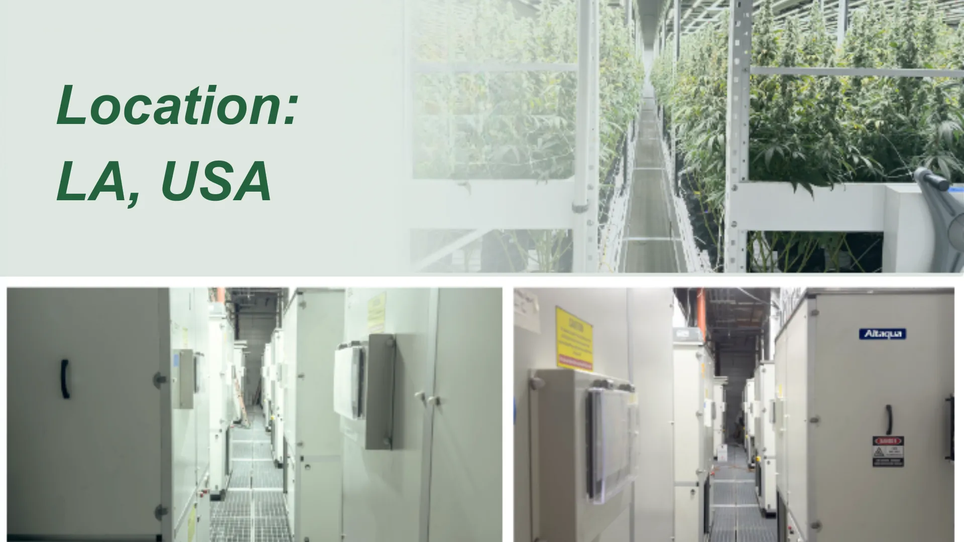 Altaqua-Grow-Room-HVAC-Projekt-LA-USA