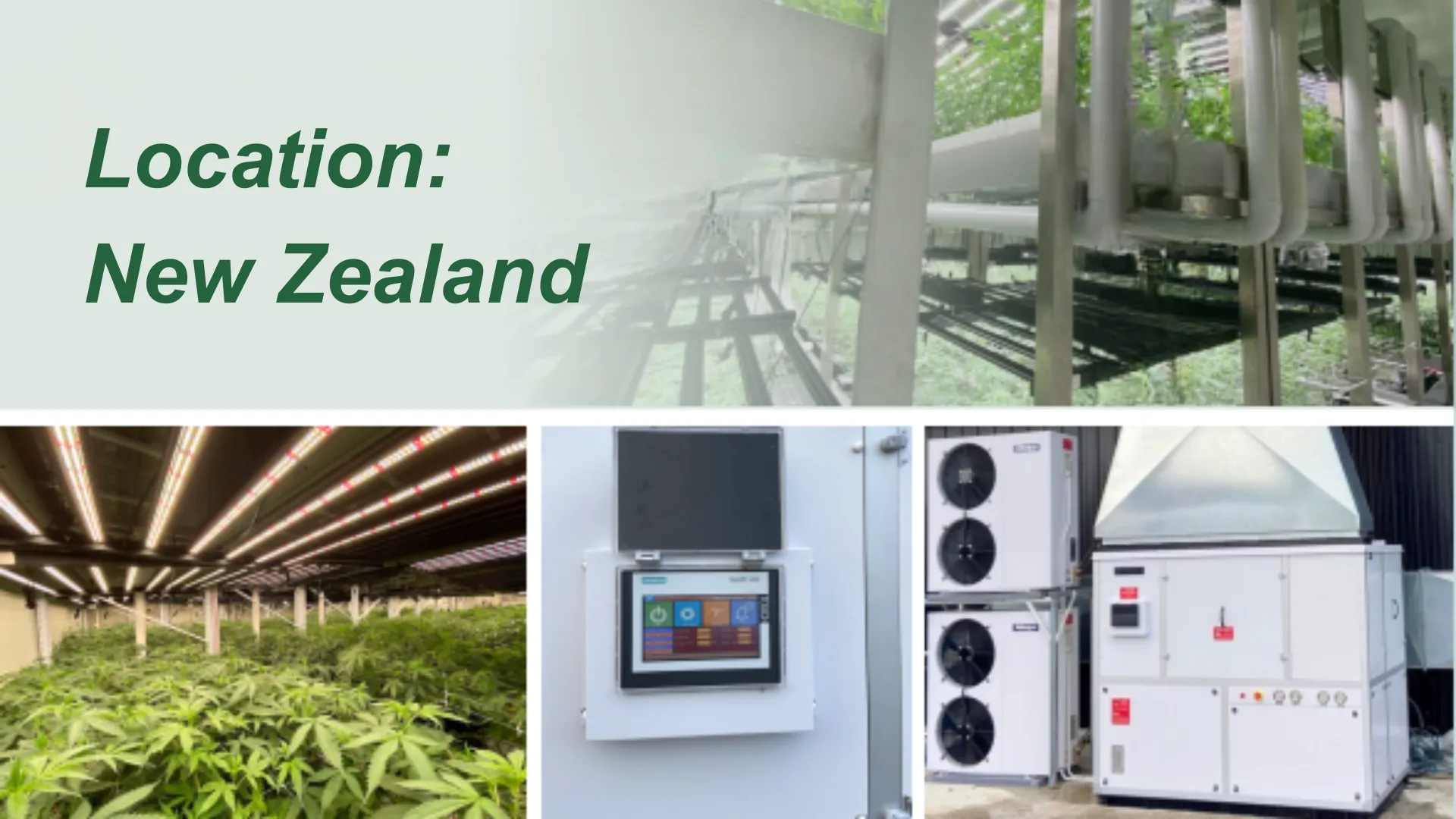 Altaqua-Grow-Room-HVAC-Projekt-Neuseeland