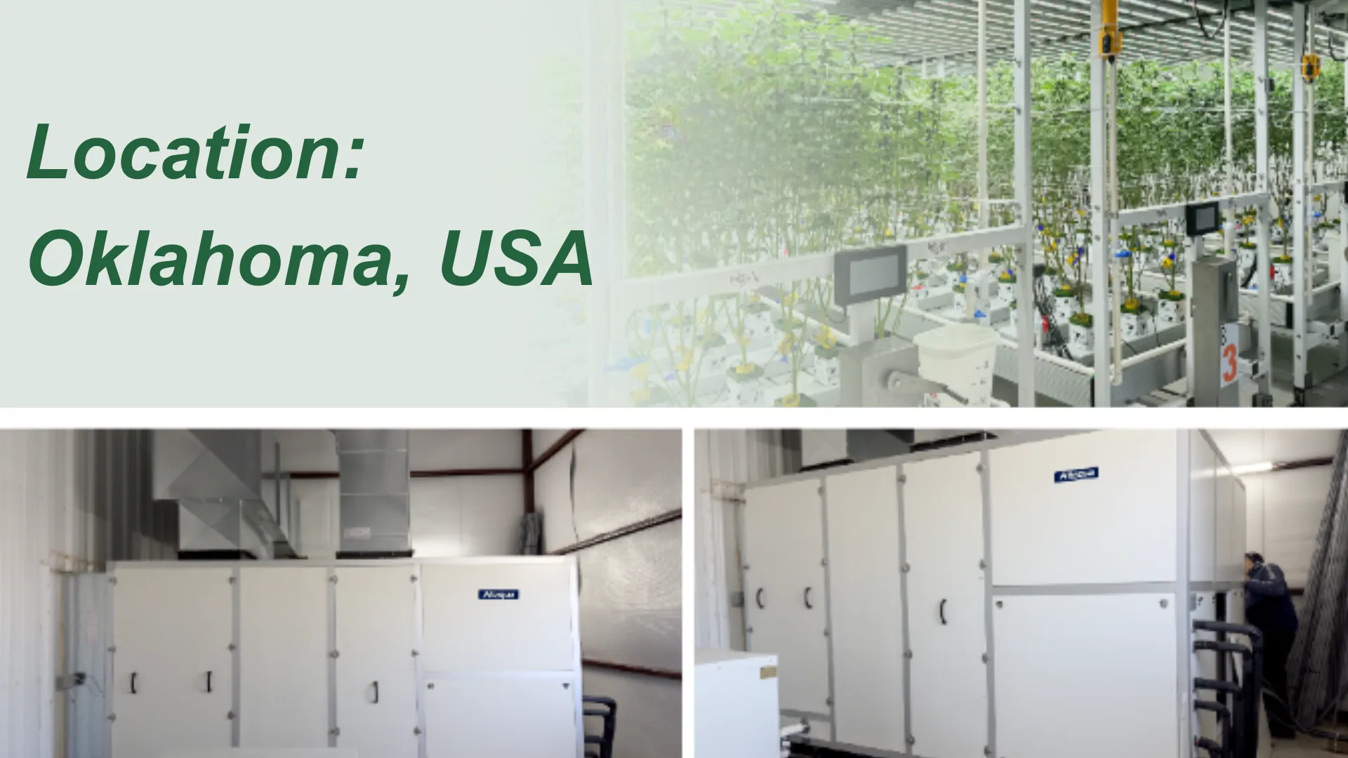 Altaqua-Grow-Room-HVAC-Projekt-Oklahoma-USA
