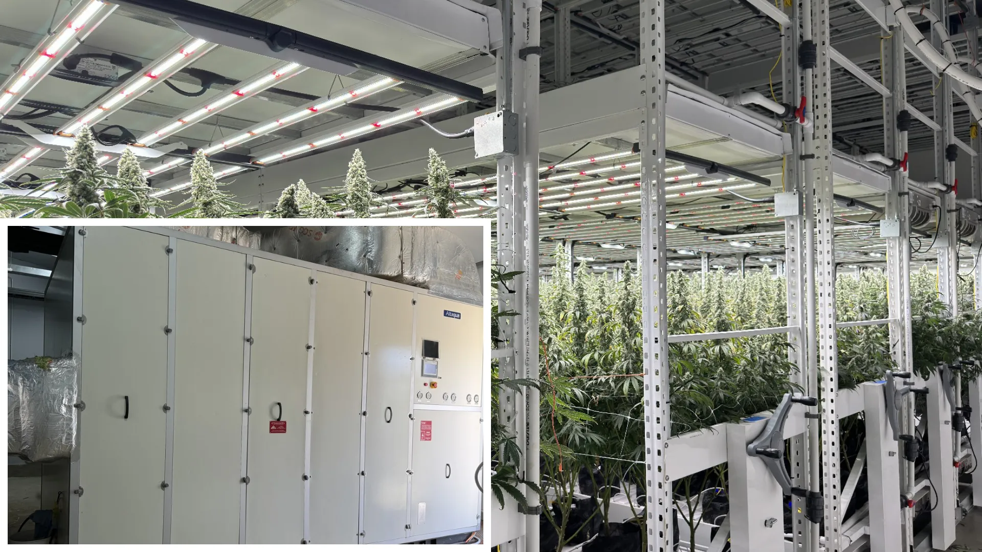 Sistema de climatización para cuartos de cultivo Altaqua en Tailandia