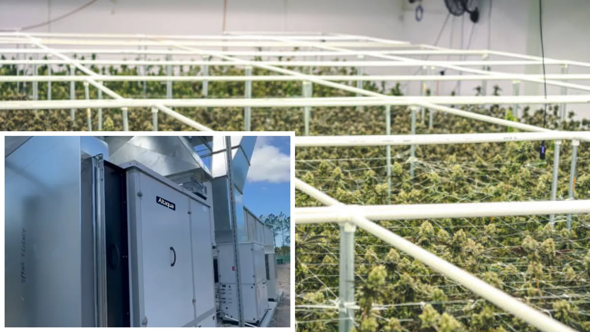 Altaqua-grow-room-hvac-system-australia