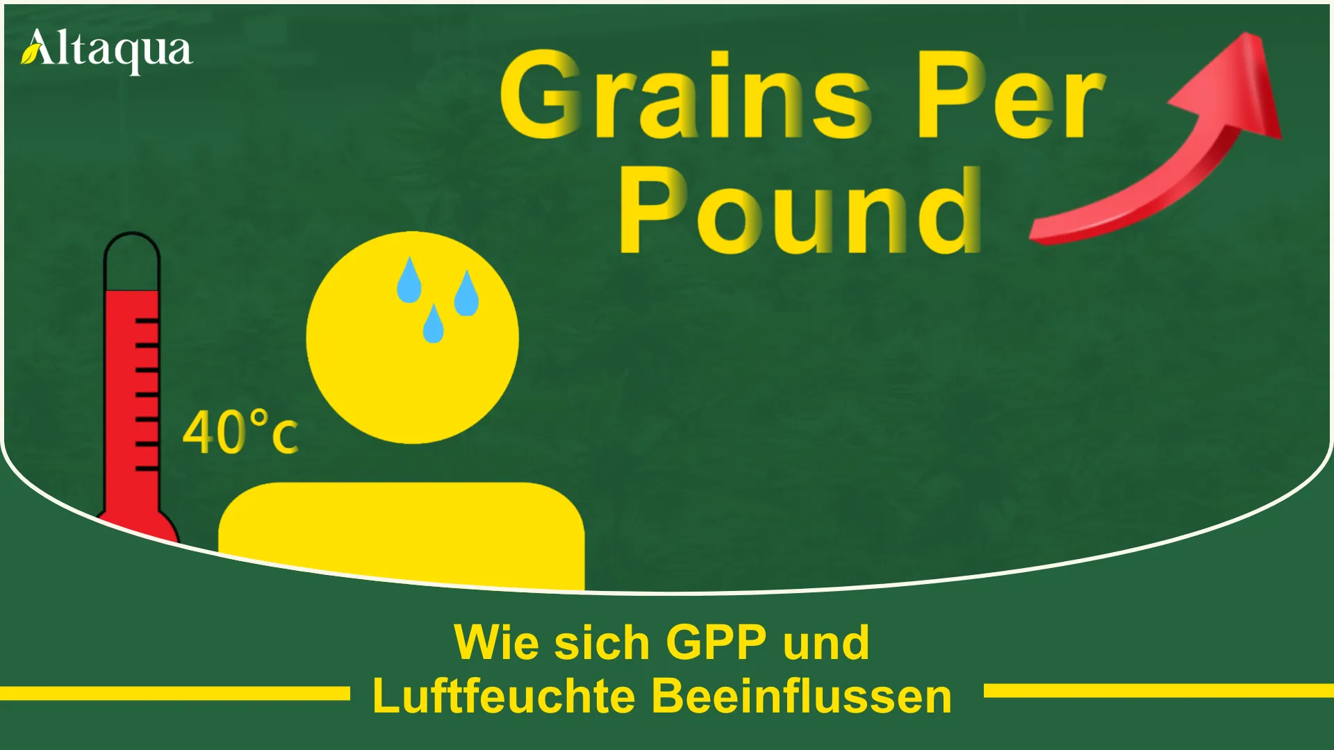 Wie GPP und relative Luftfeuchtigkeit sich gegenseitig beeinflussen Video-Thumbnail