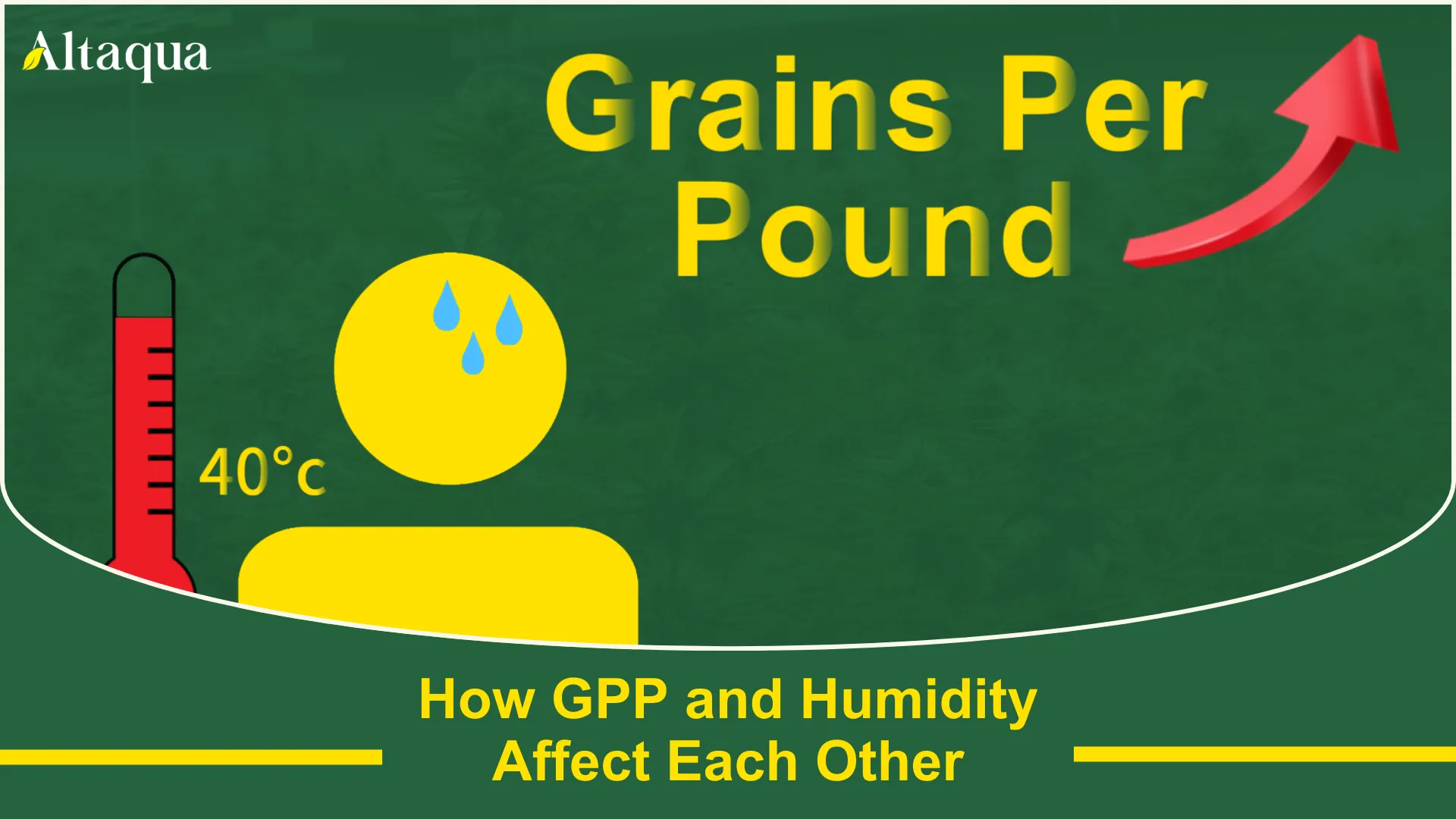 How GPP and relative humidity affect each other video thumbnail