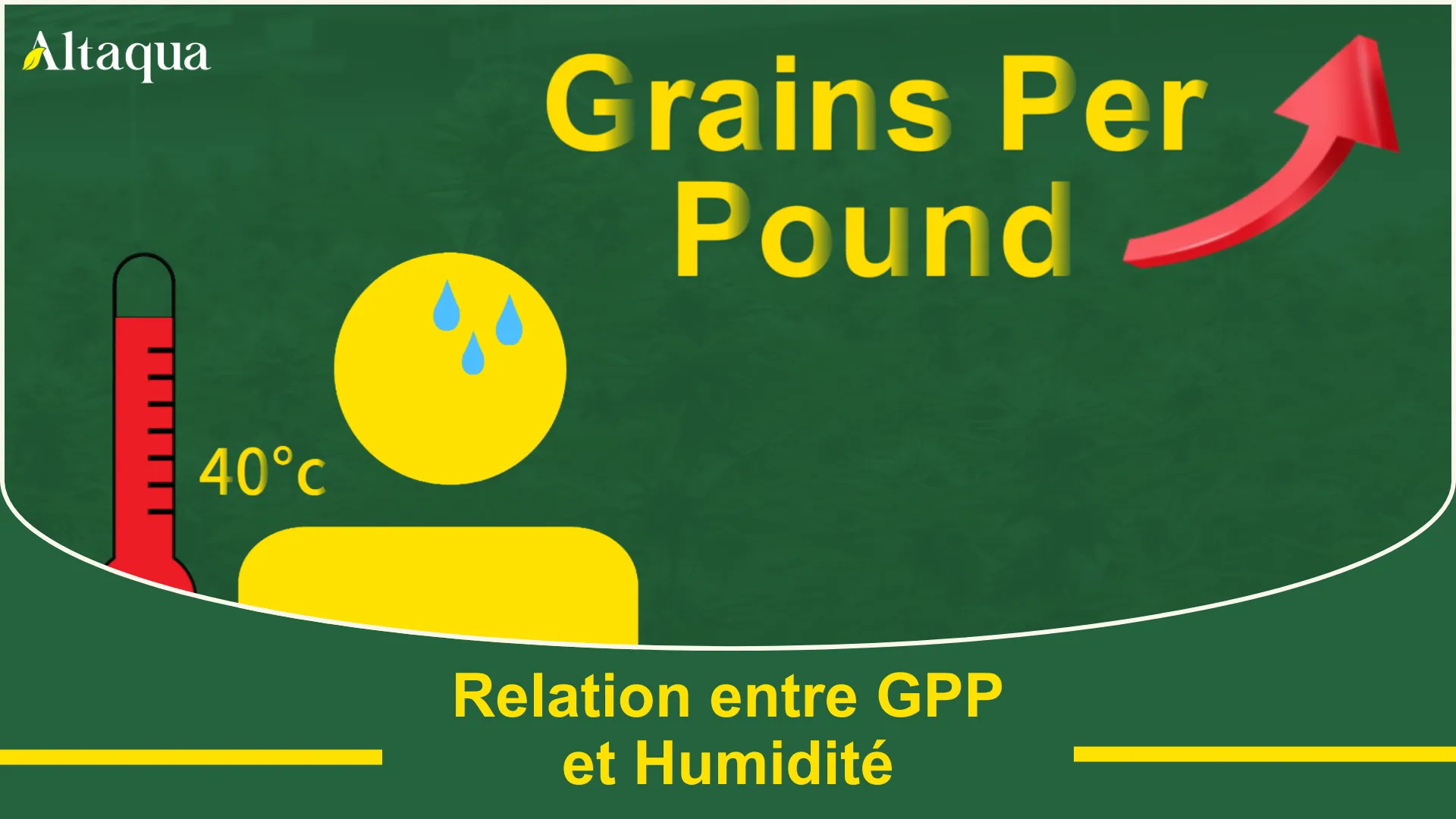 Vignette vidéo Comment le GPP et l’humidité relative s’influencent mutuellement
