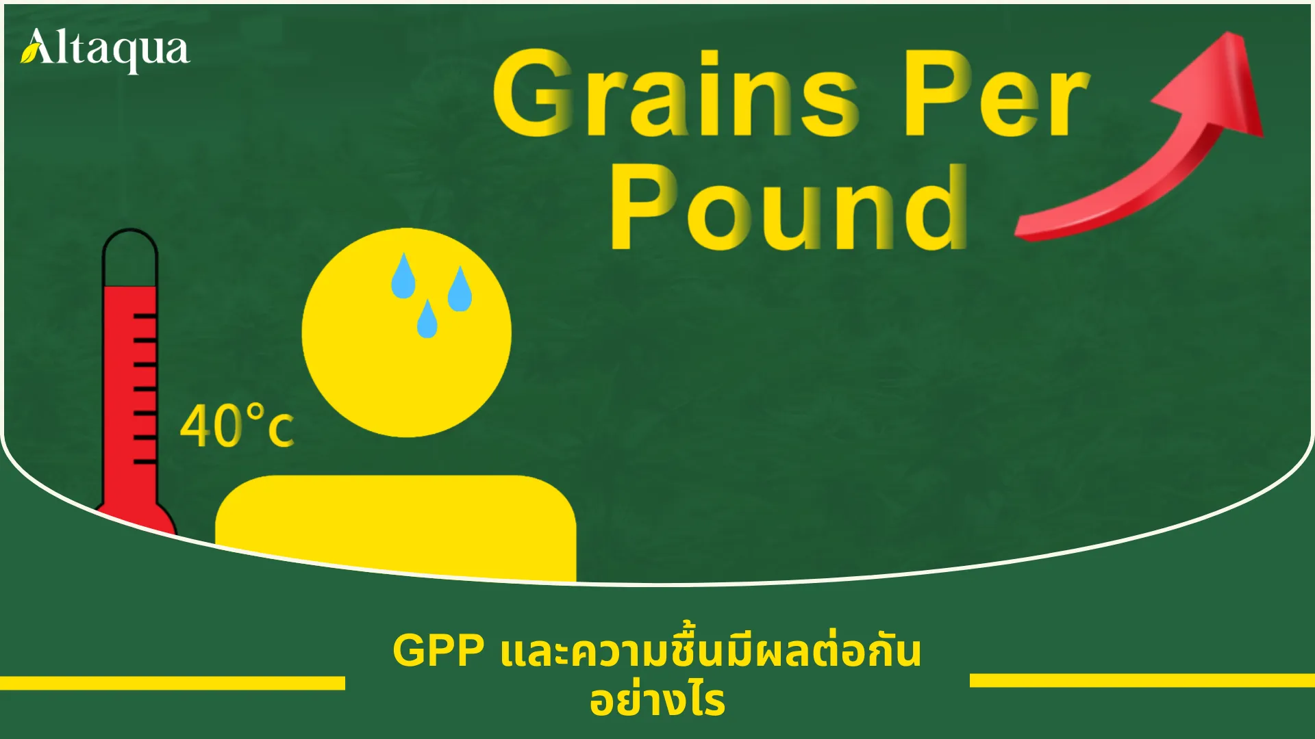 ภาพหน้าปกวิดีโอ ความสัมพันธ์ระหว่าง GPP และความชื้นสัมพัทธ์