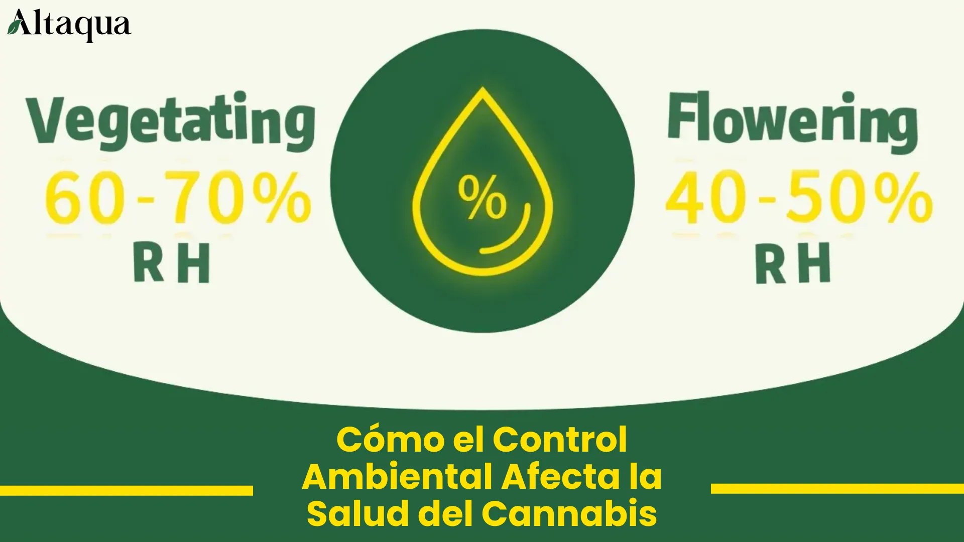 Miniatura de video: cómo el control ambiental afecta la salud del cannabis