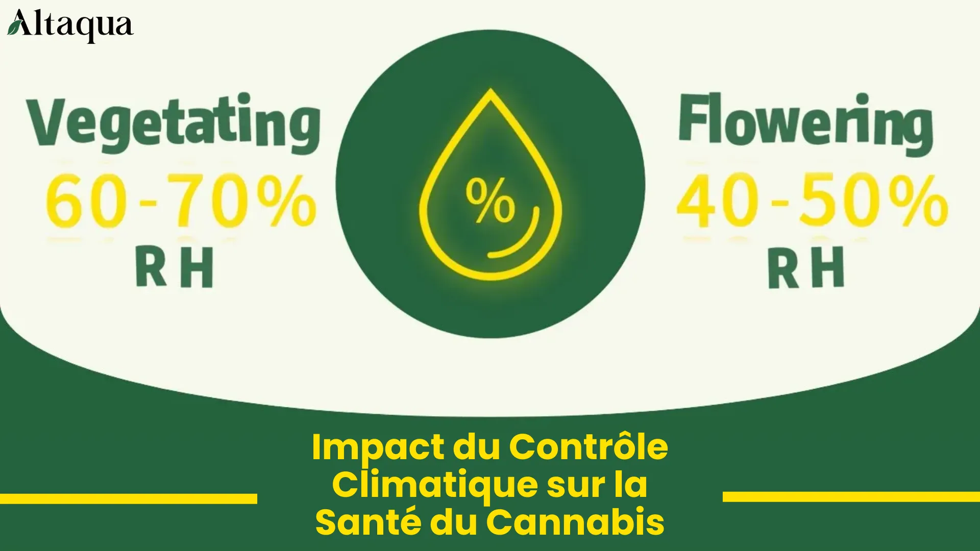 Vignette vidéo Comment le contrôle environnemental affecte la santé du cannabis