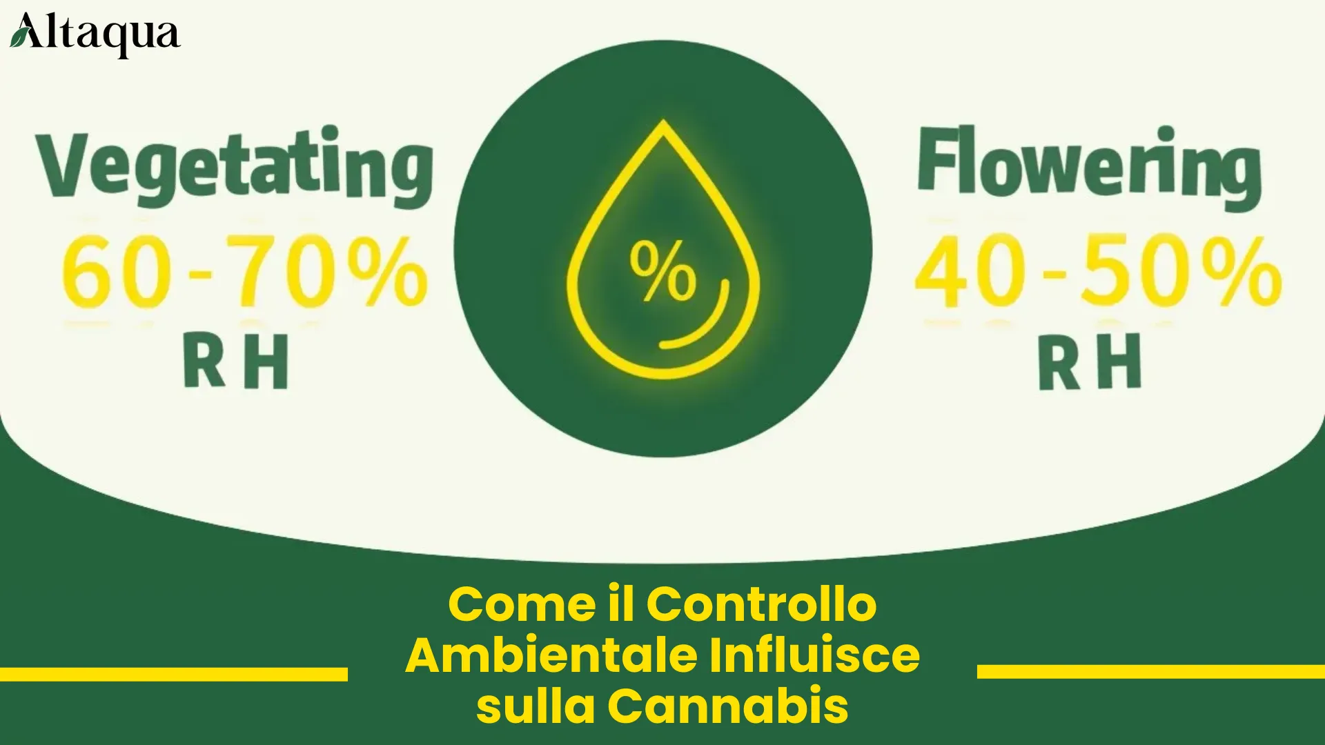 Miniatura video Come il controllo ambientale influisce sulla salute della cannabis