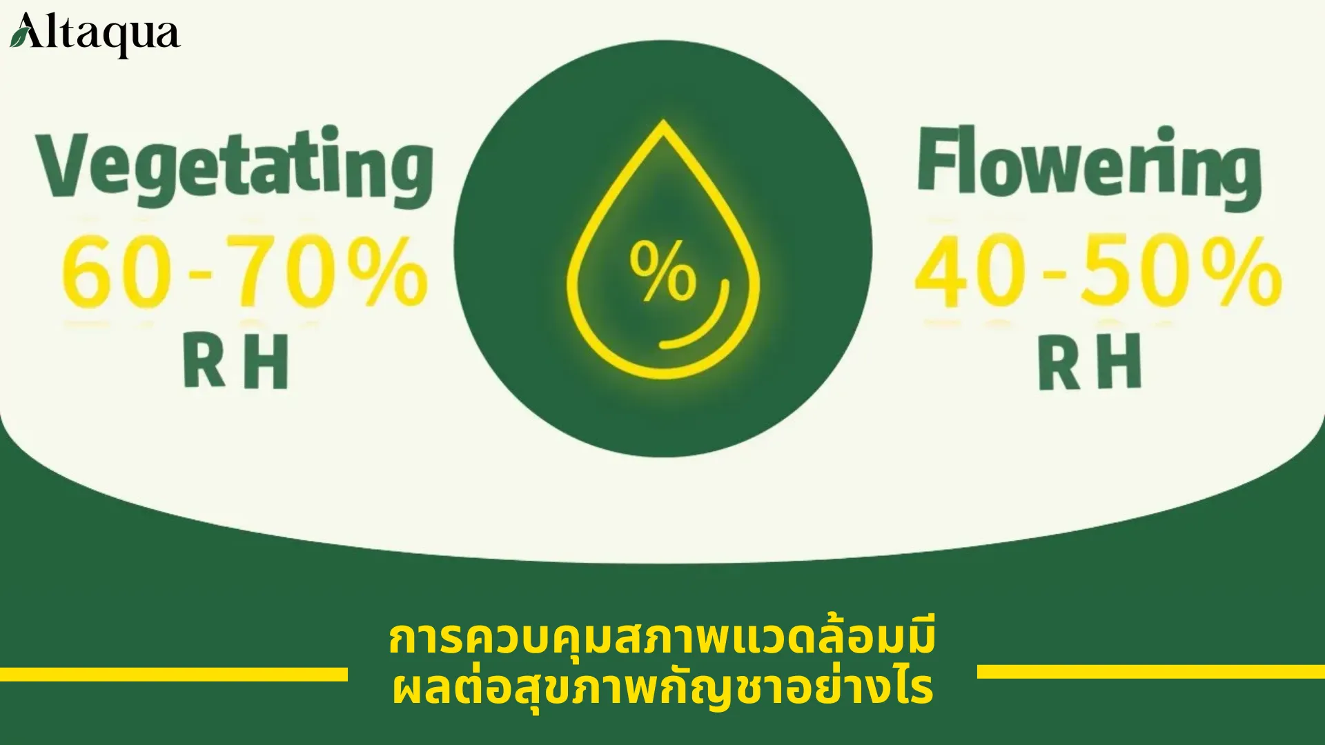 ภาพหน้าปกวิดีโอ การควบคุมสภาพแวดล้อมส่งผลต่อสุขภาพของต้นกัญชาอย่างไร