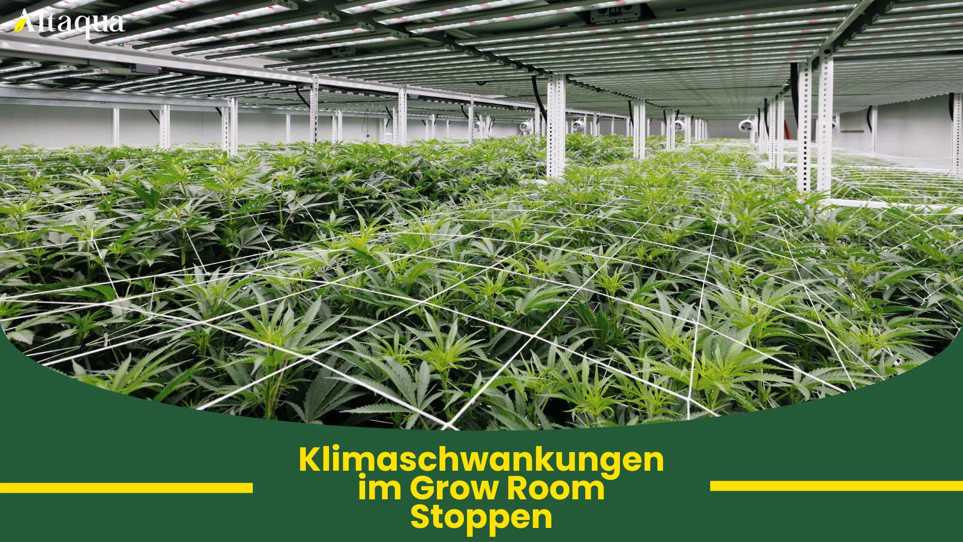 Klimaschwankungen im Grow Room stoppen Video-Thumbnail