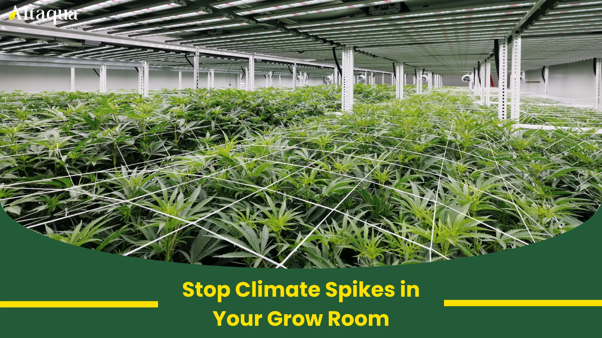 Stop Climate Spikes in Your Grow Room video thumbnail