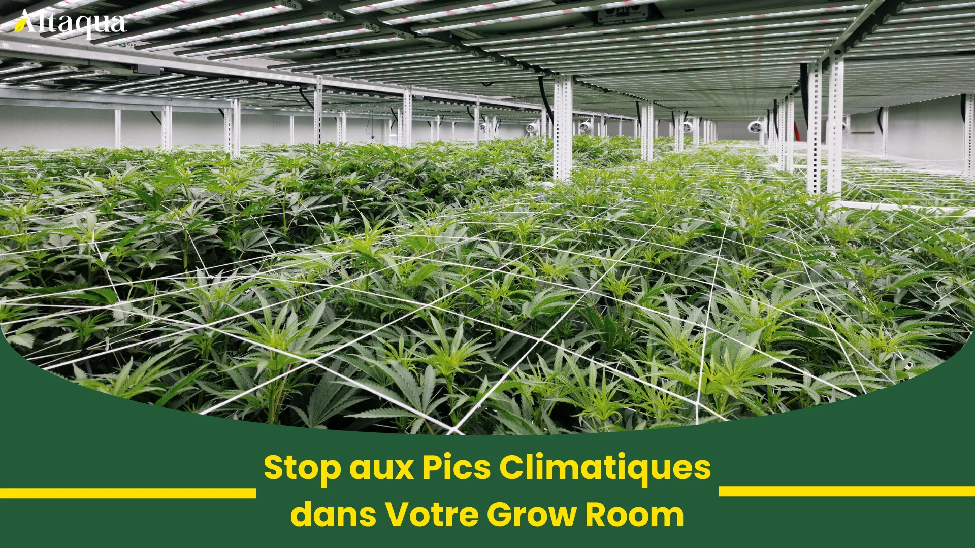 Vignette vidéo Stopper les pics climatiques dans votre grow room