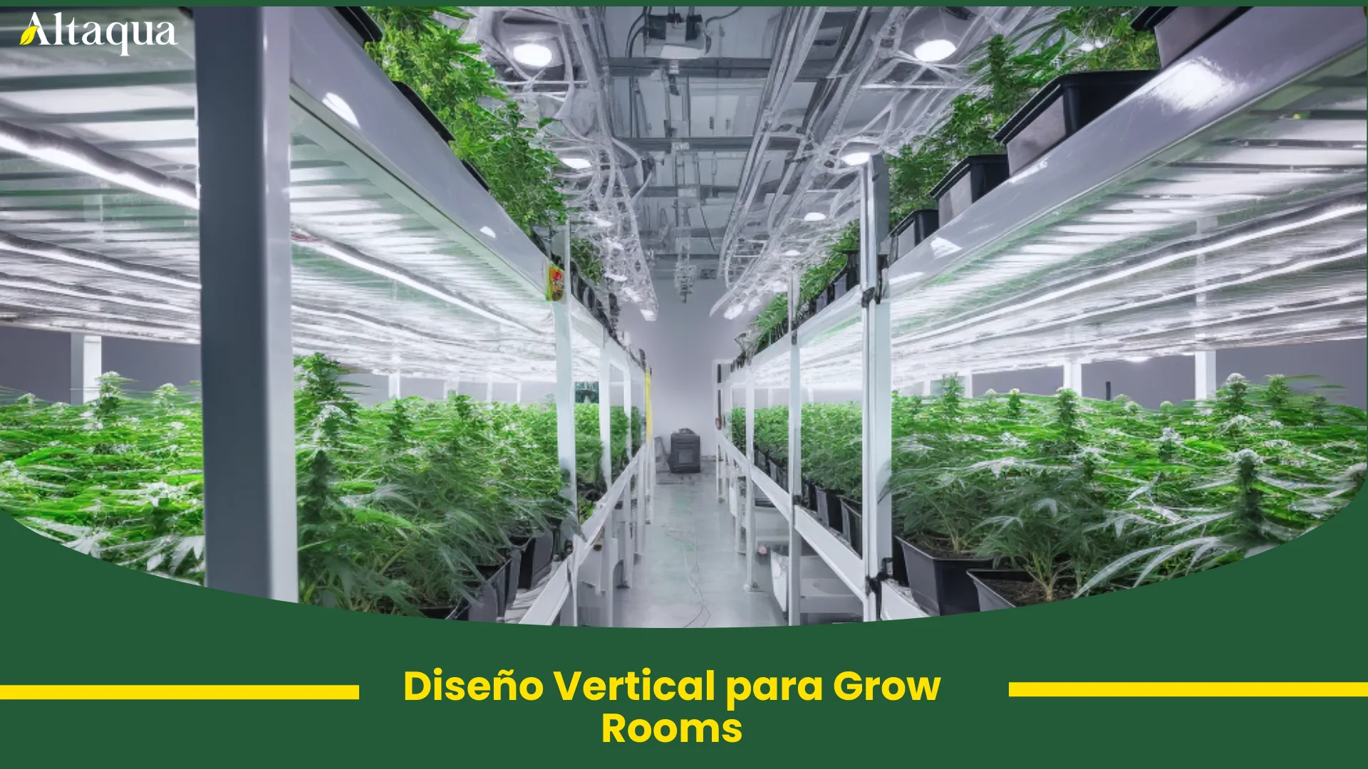 Miniatura de video: diseño vertical de salas de cultivo