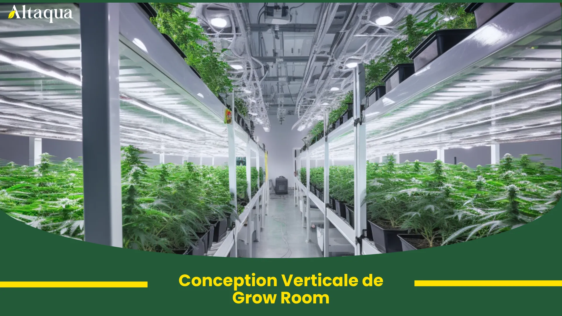 Vignette vidéo Conception verticale de grow room