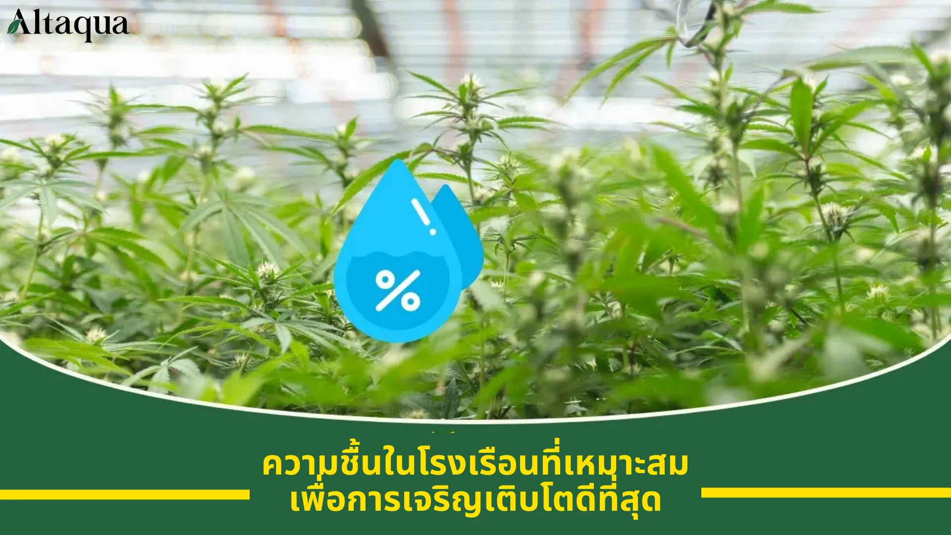 ภาพหน้าปกวิดีโอ ความชื้นในโรงเรือนเพื่อการเจริญเติบโตที่ดีที่สุด