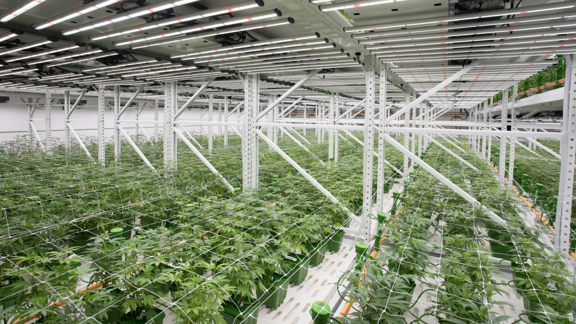 Altaqua-indoor-cultivation-hvac-equipment-grow-room