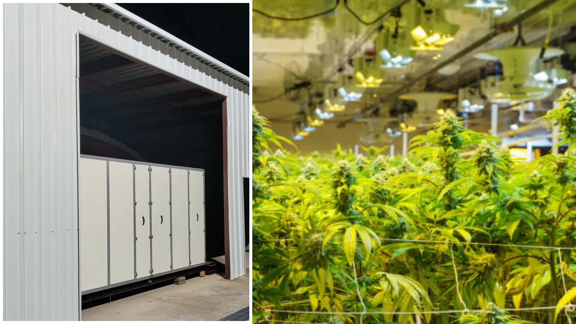 Altaqua-indoor-cultivation-hvac-equipment-project