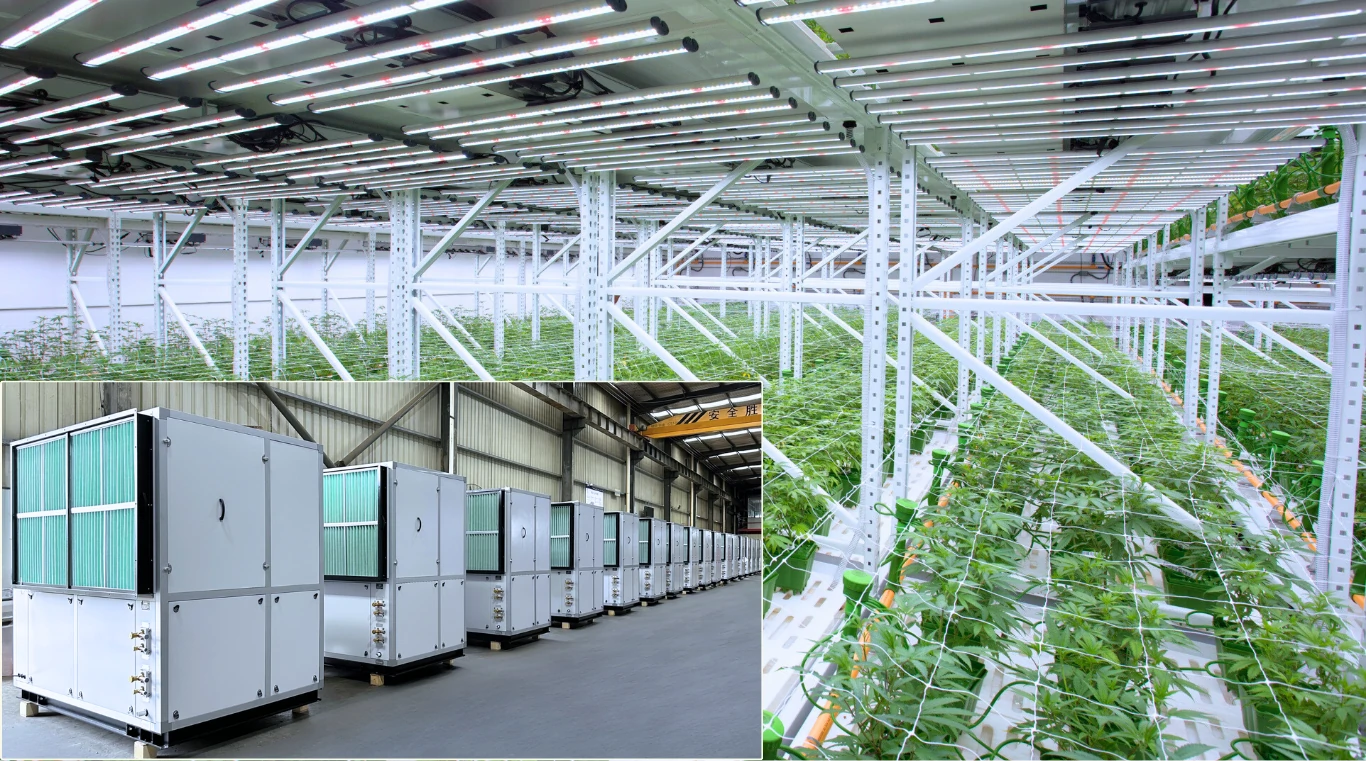 GAS-Serie Grow Room HVAC