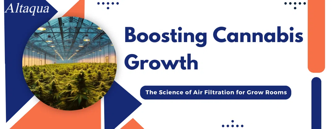 pc-altaqua air filtration for grow room-Boosting Cannabis Growth_ The Science of Air Filtration for Grow Rooms