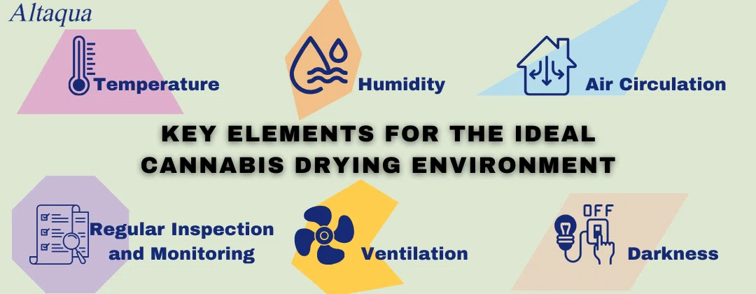 pc-altaqua-commercial-drying-room-Key-Elements-for-the-Ideal-Cannabis-Drying-Environment