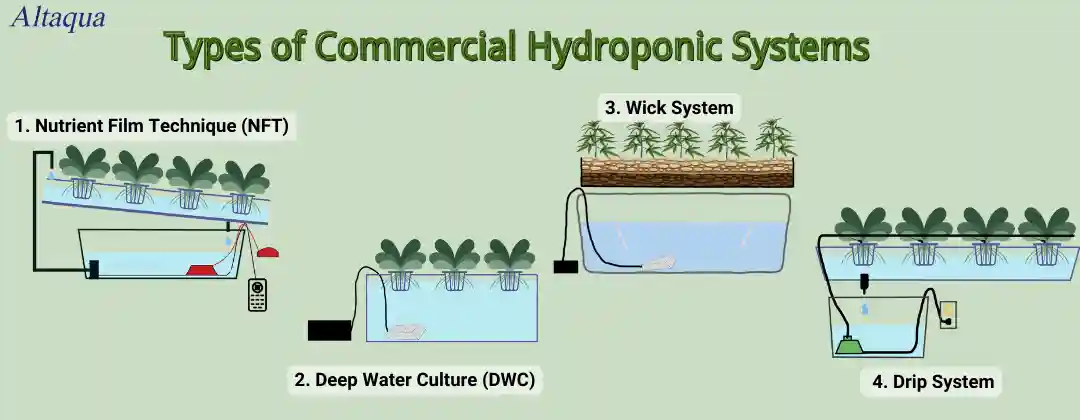 pc-altaqua-commercial-hydroponic-systems-Types-of-Commercial-Hydroponic-Systems.