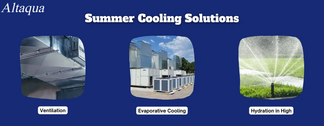 pc-altaqua cooling greenhouse-Advanced Summer Cooling Solutions