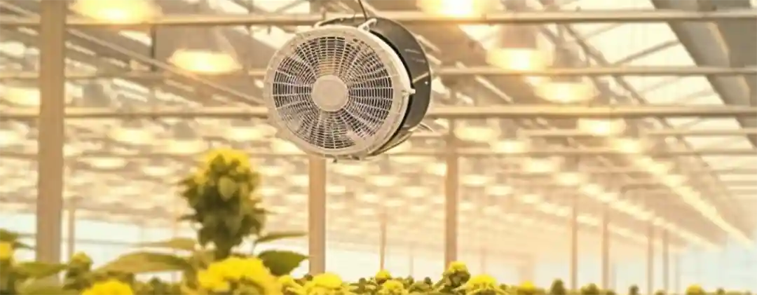 pc-altaqua-do-fans-lower-humidity-How-to-Use-Fans-to-Control-Humidity-in-Your-Cannabis-Grow-Room.