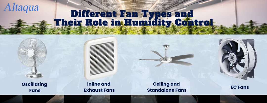 pc-altaqua-do-fans-reduce-humidity-Different-Fan-Types-and-Their-Role-in-Humidity-Control