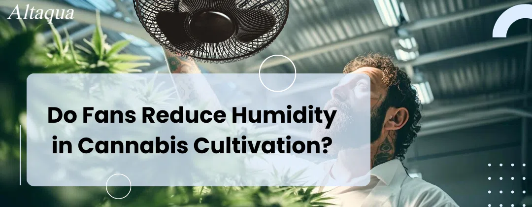 pc-altaqua-do-fans-reduce-humidity-Do-Fans-Reduce-Humidity-in-Cannabis-Cultivation.