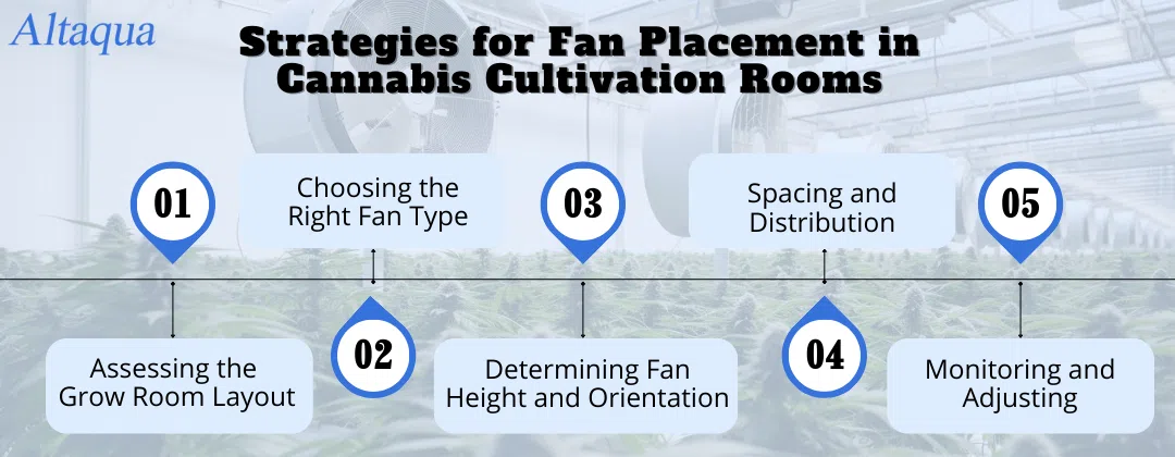 pc-altaqua-do-fans-reduce-humidity-Strategies-for-Fan-Placement-in-Cannabis-Cultivation-Rooms