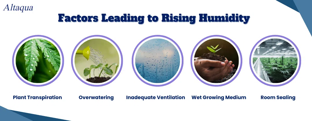 pc-altaqua-does-humidity-rise-or-fall-Factors-Leading-to-Rising-Humidity