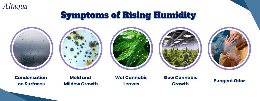 pc-altaqua-does-humidity-rise-or-fall-Symptoms-of-Rising-Humidity