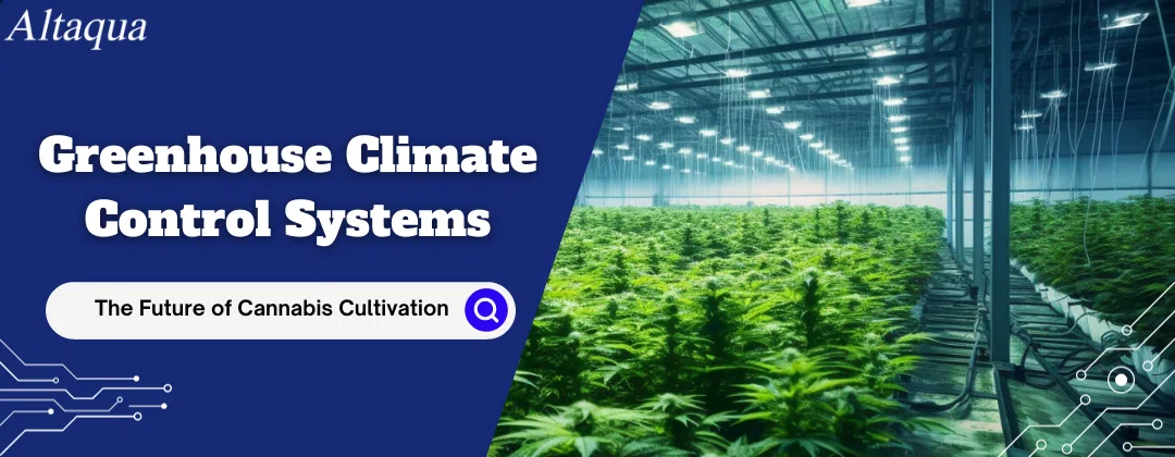 pc-altaqua greenhouse climate control system-Greenhouse Climate Control Systems_ The Future of Cannabis Cultivation