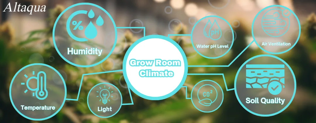 pc-altaqua-grow-room-climate-control-Grow-Room-Climate