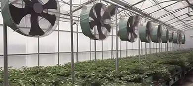 pc-altaqua-grow-room-hvac-blog-10-Reasons-Need-Greenhouse-Fans-and-Vents-Complete-Guide.