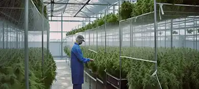pc-altaqua-grow-room-hvac-blog-7-Key-Factors-for-Choosing-the-Right-Commercial-Drying-Room-Equipment