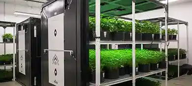 pc-altaqua-grow-room-hvac-blog-Building-a-Modular-Grow-Room-Cost