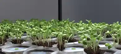 pc-altaqua-grow-room-hvac-blog-Evaporative-Cooler-in-High-Humidity