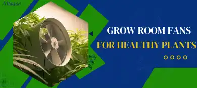 pc-altaqua-grow-room-hvac-blog-Grow-Room-Fans-for-Healthy-Plants